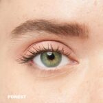 iconic forest color
