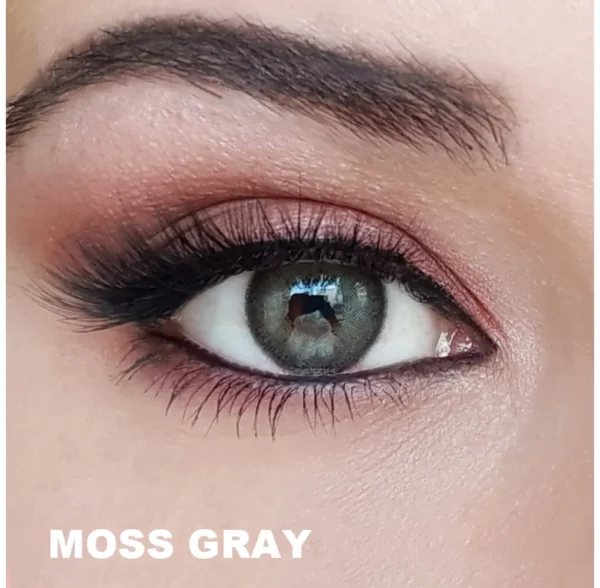 Fxeyes Moss Gray Yearly Lenses